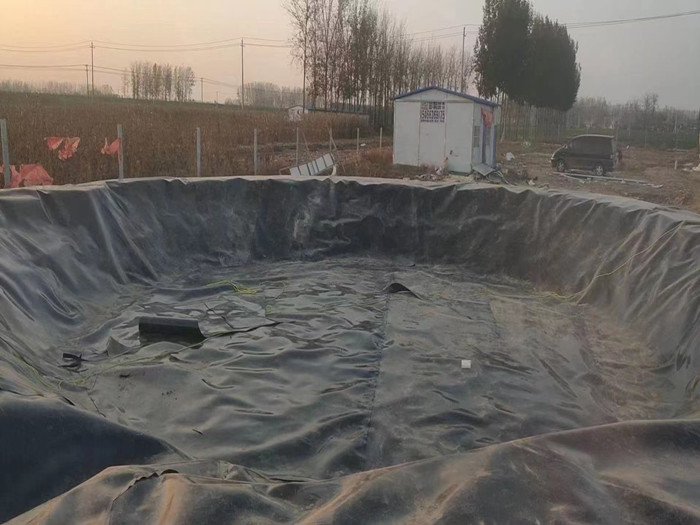 豬場(chǎng)沼氣池專用土工膜