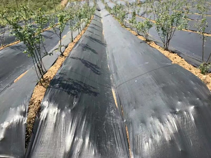 防草布的鋪設方法