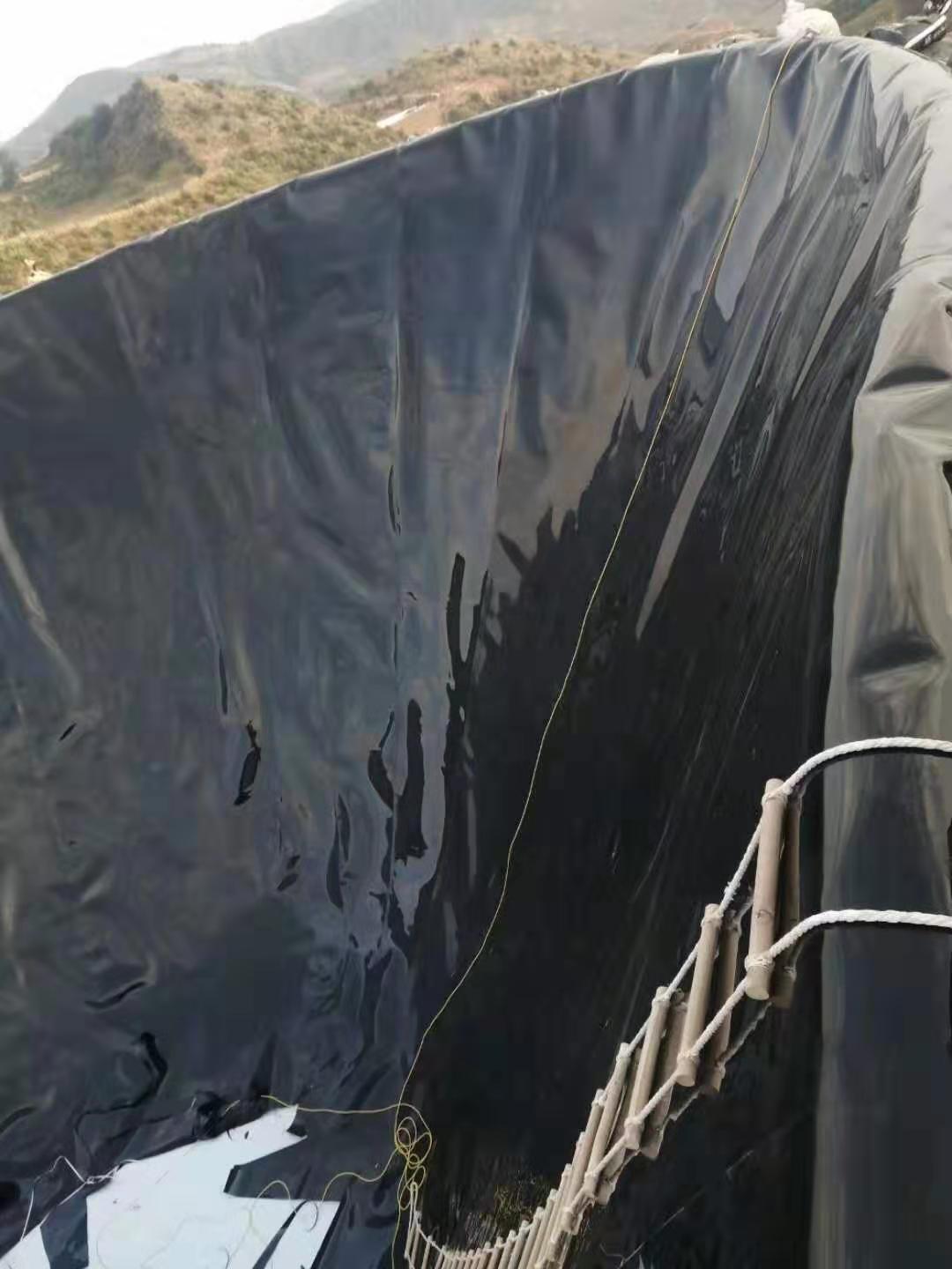 pe膜人工費多少錢一平米 每平米價格